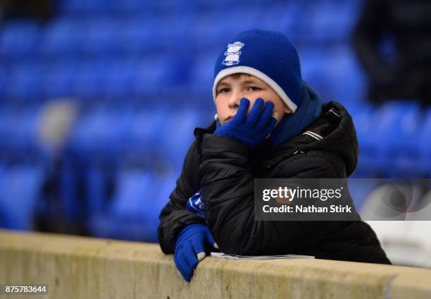 Young Birmingham City fan looks on during the Sky Bet Championship match between Birmingham City and Nottingham Forest at St Andrews on November 18,...