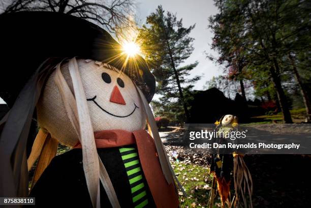 scarecrow decoration with sun-star - funny pilgrim stock-fotos und bilder