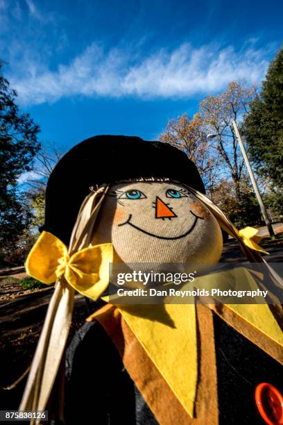 scarecrow decoration with copy space - funny pilgrim stock-fotos und bilder