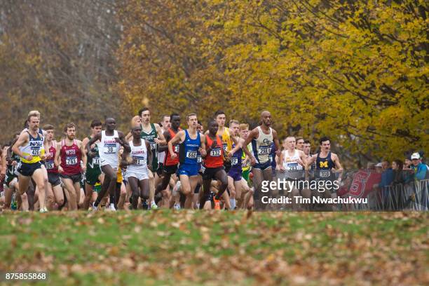 Runners compete during the Division I Men's Cross Country Championship held at E.P. Tom Sawyer Park on November 18, 2017 in Louisville, Kentucky.
