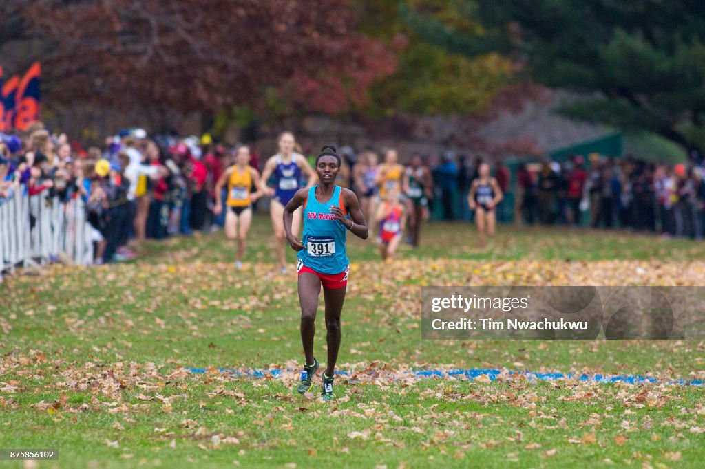 NCAA Division I Men's and Women's Cross Country Championship