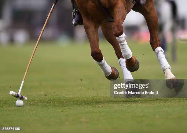 Detail of a horse as a player of La Esquina hits the ball during a match between La Albertina and La Esquina as part of the HSBC 124° Argentina Polo...