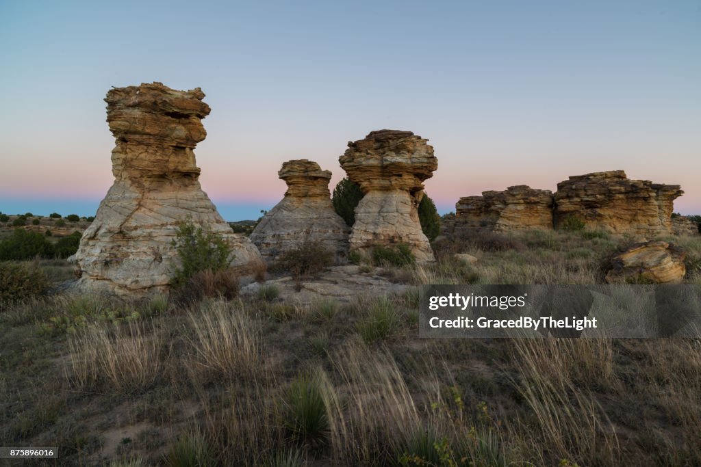 The Wedding Party, Post Sunset, Black Mesa, OK