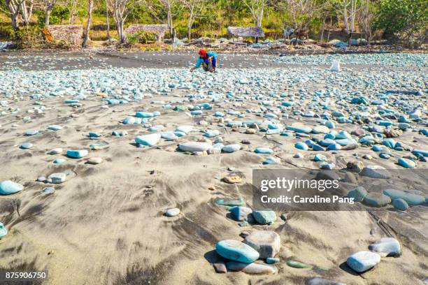 collecting blue stones for exports in flores indonesia. - caroline pang stockfoto's en -beelden