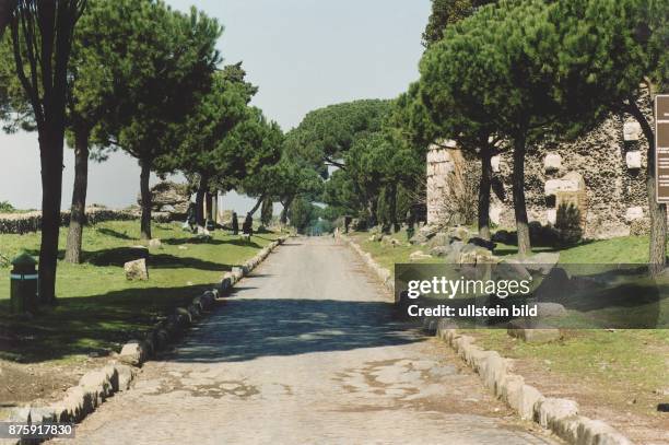 Von Kiefern gesäumter Abschnitt der Via Appia Antica nahe Rom. .