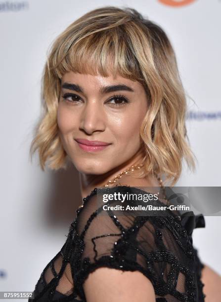 Dancer Sofia Boutella arrives at the inaugural Los Angeles gala dinner in support of The Fred Hollows Foundation at DREAM Hollywood on November 15,...