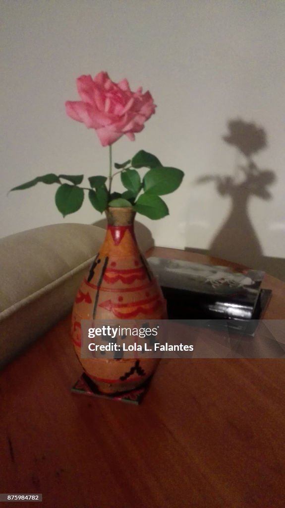 One rose rose in a vase and its shade on the wall