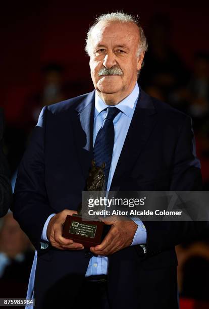 Ex Spanish national coach Vicente del Bosque attends the SICAB Closing Gala 2017 on November 18, 2017 in Seville, Spain.