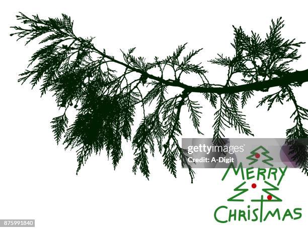 cedar branch christmas wishes - cedar tree stock illustrations