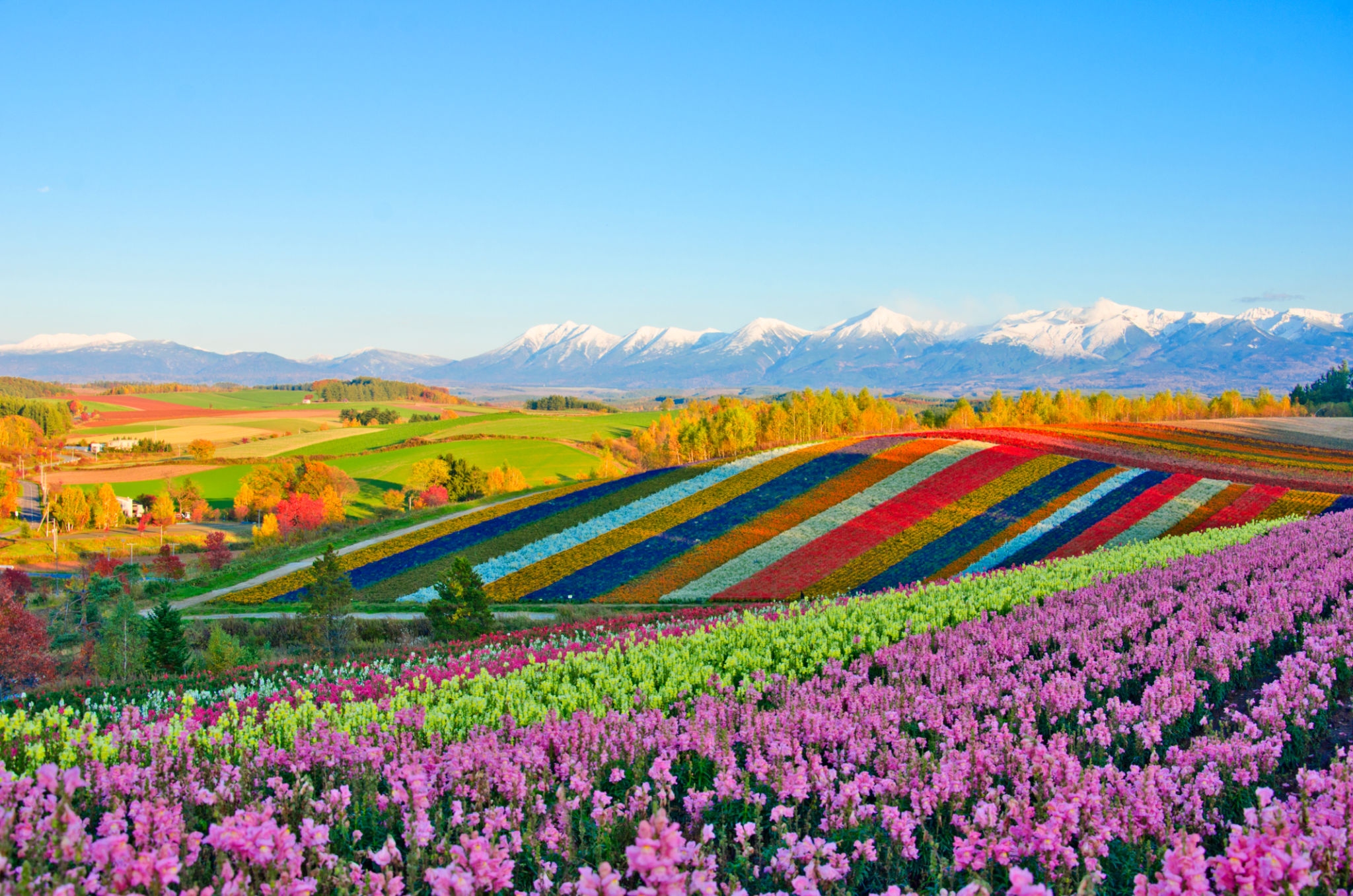 summer hokkaido