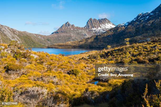 the scenery view of cradle mountain and dove lake an iconic world heritage site of tasmania, australia. - cradle mountain stock-fotos und bilder