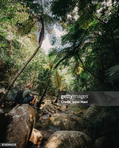 man having rest during jungle trekking, okinawa, japan - bosque primario fotografías e imágenes de stock