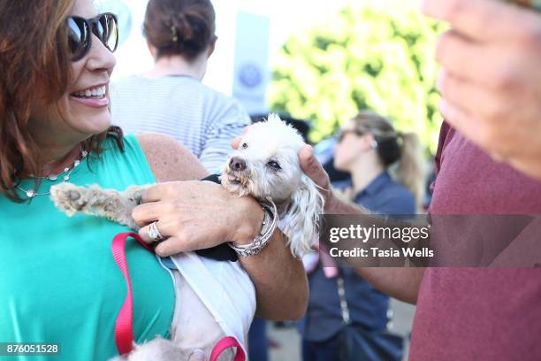 Guests the Ollie Pupsgiving Gathering at Platform LA on November 18, 2017 in Los Angeles, California.