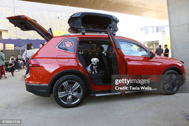 Volkswagen Tiguan Concept shows its chops at the Ollie Pupsgiving Gathering at Platform LA on November 18, 2017 in Los Angeles, California.