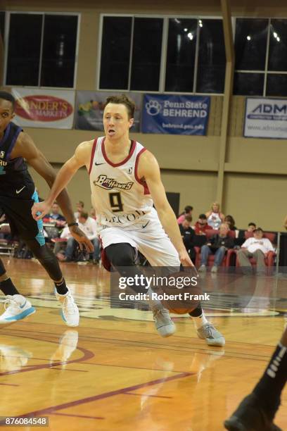 Josh Magette of the Erie Bayhawks handles the ball during the game against the Greensboro Swarm at the Erie Insurance Arena on November 18, 2017 in...