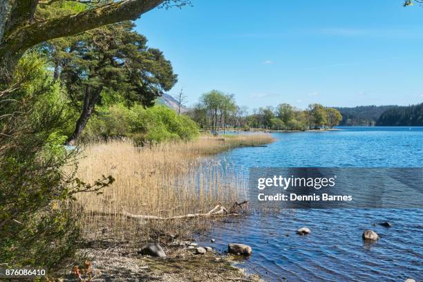 Kin Loch Ard Kinlochard Photos and Premium High Res Pictures - Getty Images