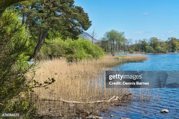 Kin Loch Ard 89 Kinlochard Stock Photos, High-Res Pictures, and Images - Getty Images