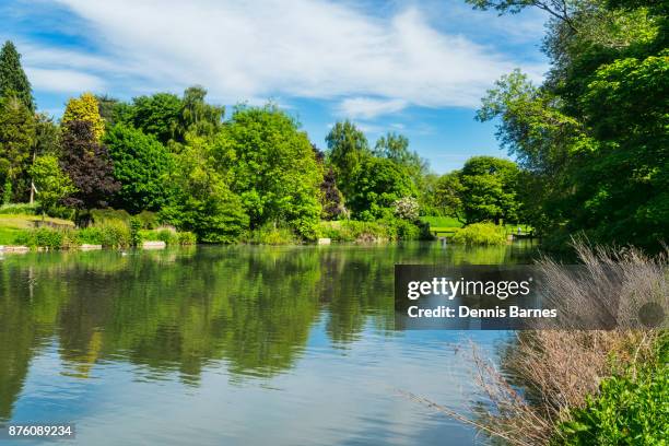 cirencester; abbey grounds park, lake, river chum, gloucestershire; uk; - cirencester stock pictures, royalty-free photos & images