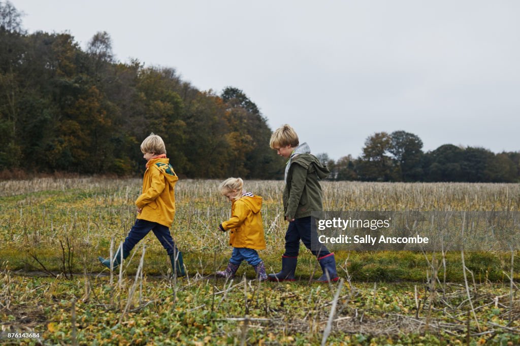 Three children waling though a field together