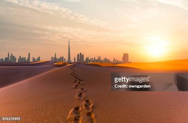 dubai scenery at sunrise - emirati arabi uniti foto e immagini stock