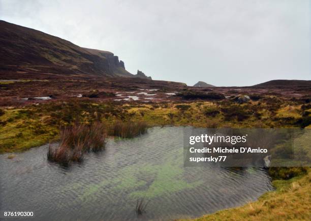 pond and the quiraing in a windy winter day - bog stock pictures, royalty-free photos & images