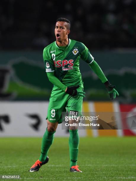 Douglas Vieira of Tokyo Verdy reacts during the J.League J2 match between Tokyo Verdy and Tokushima Vortis at Ajinomoto Stadium on November 19, 2017...