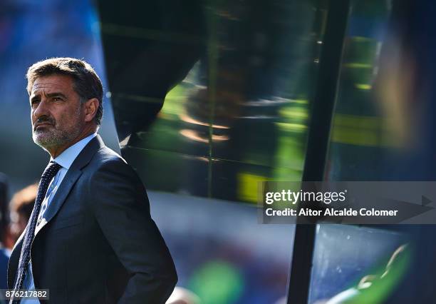 Head Coach of Malaga CF Michel Gonzalez looks on during the La Liga match between Malaga and Deportivo La Coruna at Estadio La Rosaleda on November...