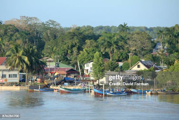 waterfront of suriname river towards atlantic ocean outlet, suriname. - gazon stock pictures, royalty-free photos & images