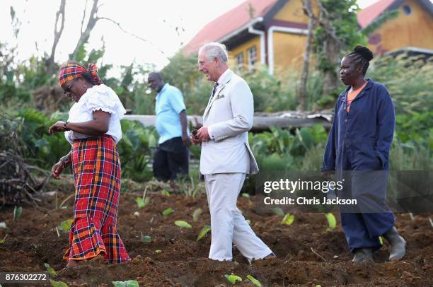 Prince Charles, Prince of Wales visits Bellevue Chopin Farm to discuss the impact of Hurricane Maria on local agriculture and is given a tour by...