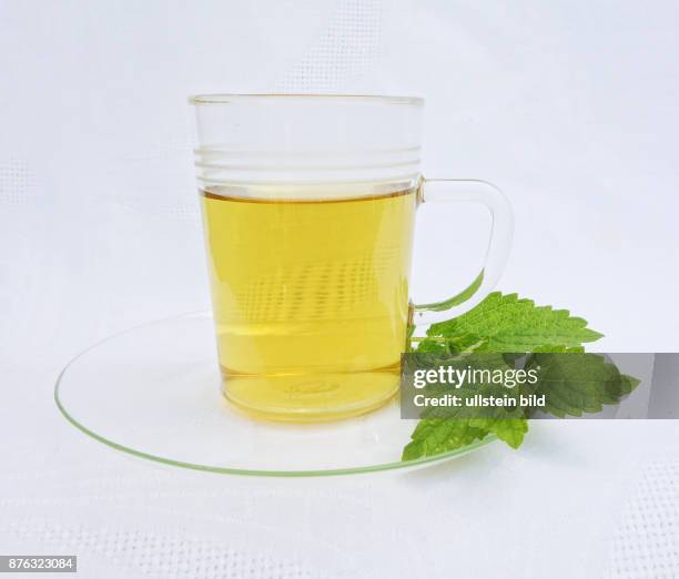 Zitronenmelissentee aufgenommen in Berlin
