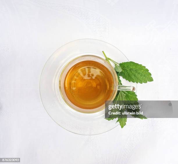 Zitronenmelissentee aufgenommen in Berlin