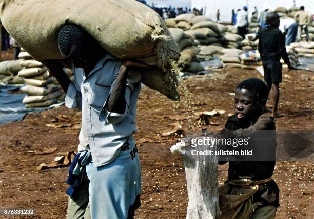 Das Flüchtlingslager Benaco in Tansania. Junge fängt Maikörner aus einem defekten Getreidesack auf Camp Mai 1994