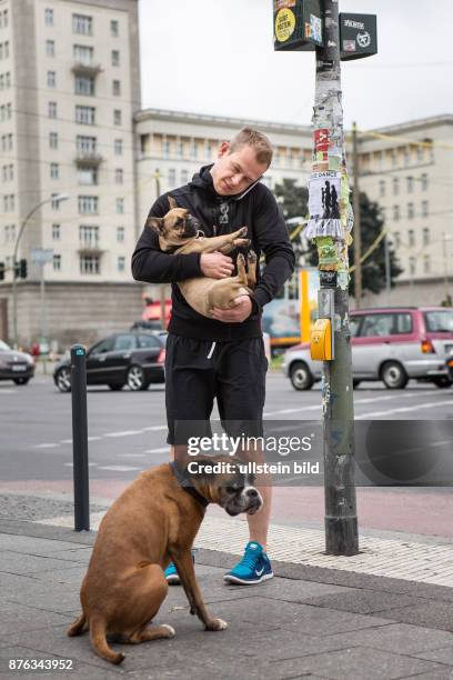 Deutschland Germany Berlin Ein junger Mann telefoniert während er einen jungen Hund auf dem Arm hält. Ein weiterer Hund, Boxer, wartet geduldig auf...