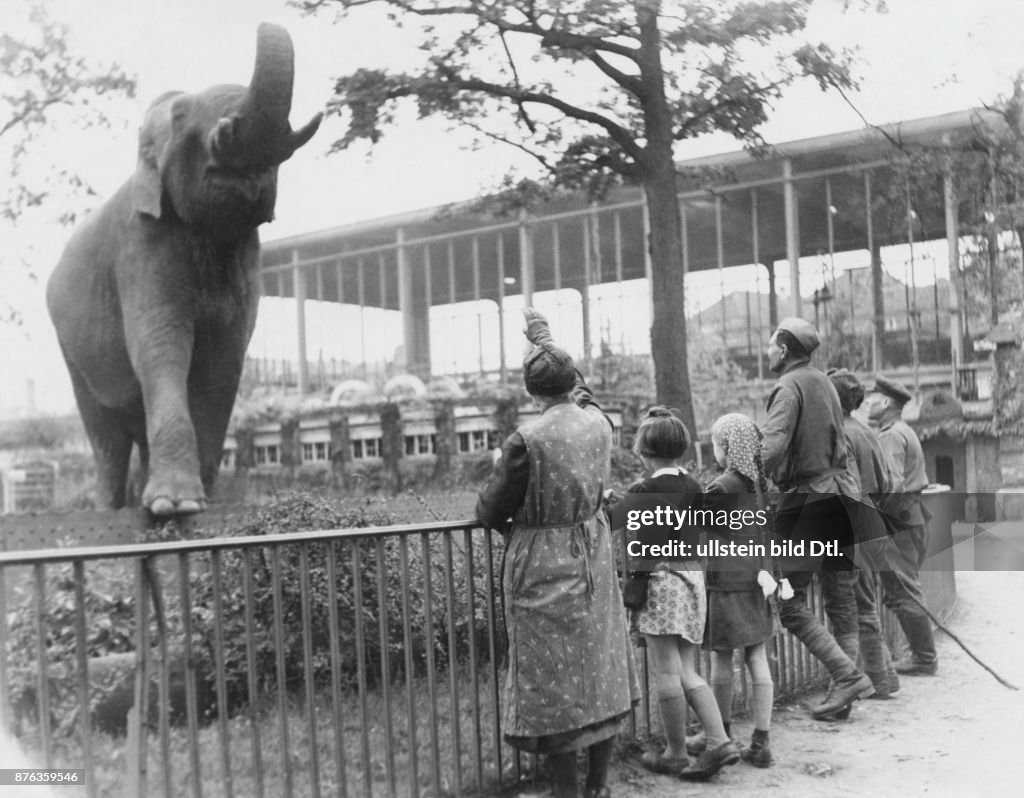 Zoo Berlin - visit from Russia, May 1945