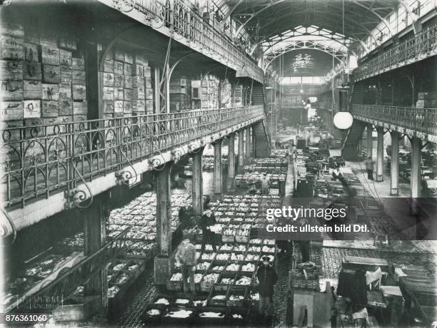 Hamburg: Fischmarkt in Altona : Fischauktionshalle um 1904.