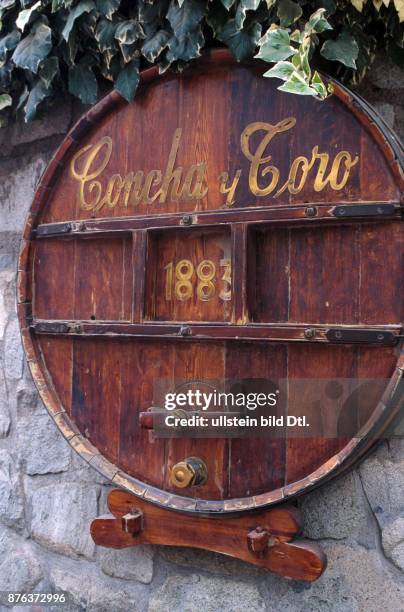 CHILE - THE CONCHA Y TORO VINEYARD IN THE CENTRAL VALLEY. CDREF00601