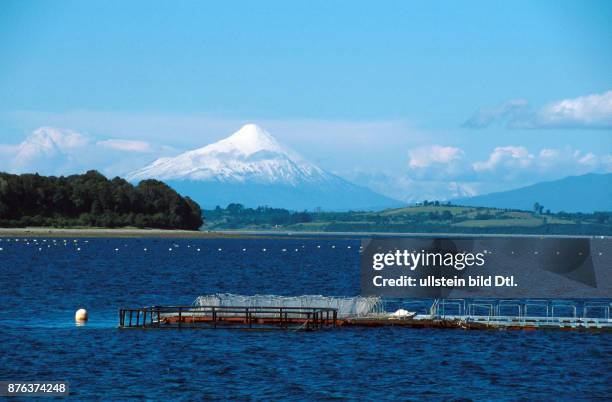 CHILE - TROUT FARMS IN A LAKE IN THE SOUTHERN REGION. CDREF00601