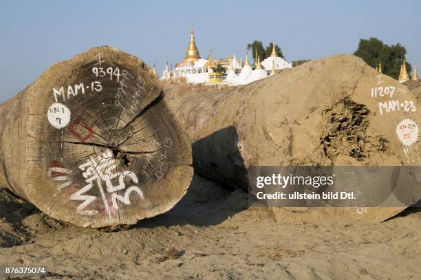 MYANMAR UNLOADING TEAK AND OTHER HARDWOODS AT MANDALAY HARBOUR ON THE IRRAWADY RIVER NEAR SAGAING; CDREF00721