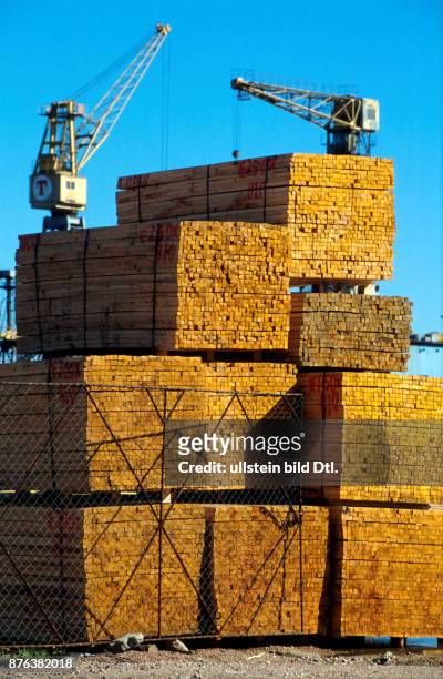CHILE - TIMBER FOR EXPORT SAN VICENTE, SOUTHERN CHILE. JANUARY 2000. CDREF00601