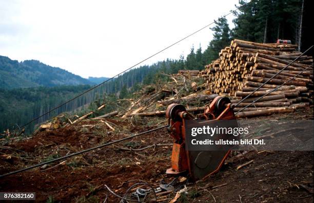 CHILE - LOGGING IN THE SOUTHERN FORESTS. CDREF00601