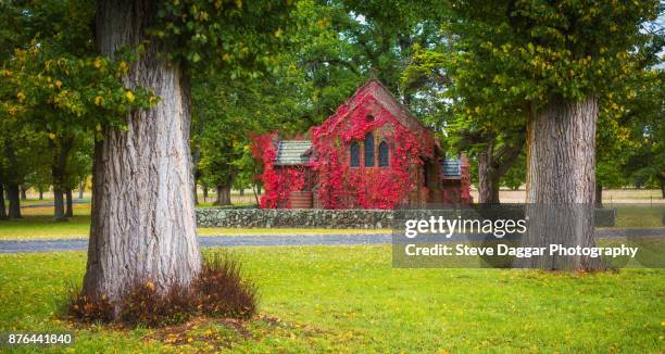 gostwyck chapel - chapel stock pictures, royalty-free photos & images