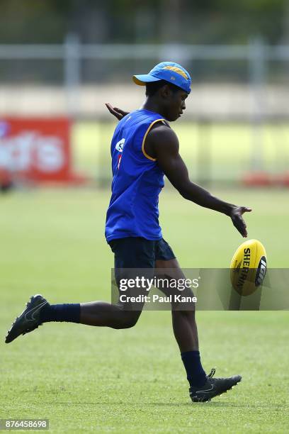 Lithalin 229 Lathlain Western Australia Stock Photos, High-Res Pictures, and ...