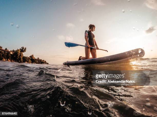 young woman on a paddle board - surfers in the sea at sunset stock pictures, royalty-free photos & images