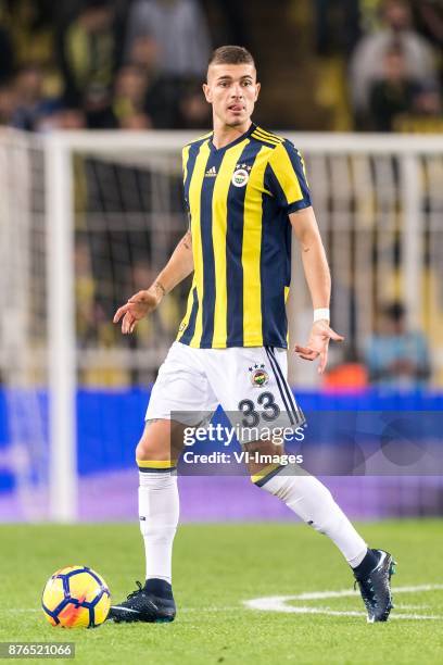 Roman Neustadter of Fenerbahce SK during the Turkish Spor Toto Super Lig football match between Fenerbahce and Demir Grup Sivasspor on November 19,...