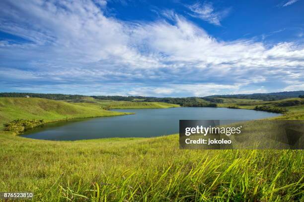 love lake sentani (danau love) - pond stock pictures, royalty-free photos & images