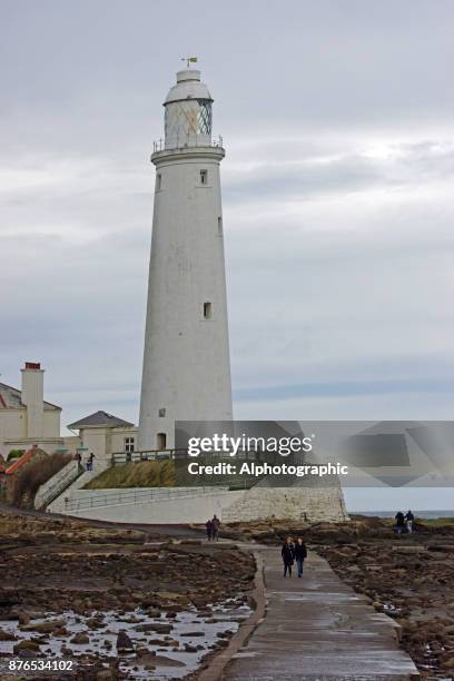 st mary's lighthouse on st mary's island - st marys island stock pictures, royalty-free photos & images