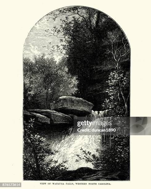 watauga falls, western north carolina, 19th century - north carolina waterfall stock illustrations