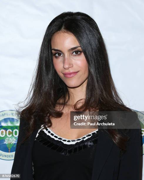 Actress Shiva Negar attends the 4th annual Evening Of Hope at The La Loggia restaurant on November 19, 2017 in Studio City, California.