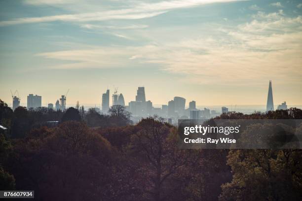 hampstead heath london, in autumn - hampstead london 個照片及圖片檔