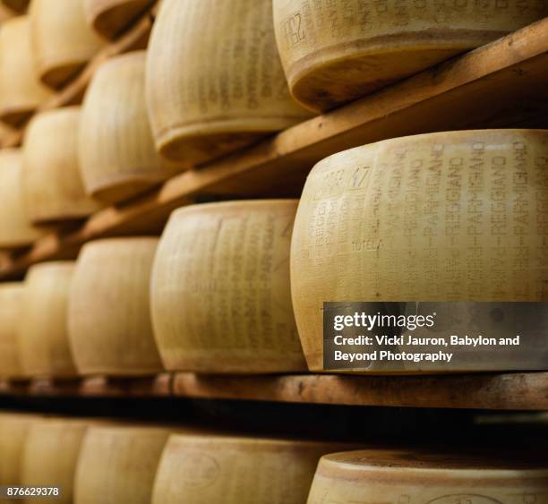 parmesan cheese in emilia-romagna, italy - parmesano fotografías e imágenes de stock